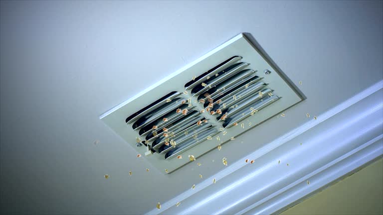 Best Affordable HVAC Duct Cleaning  in Wardsville, MO